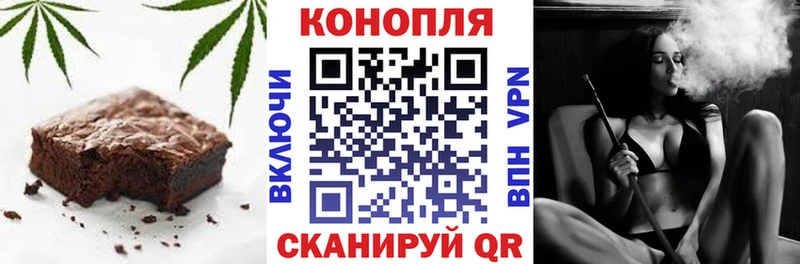 где можно купить наркотик  kraken как зайти  Печенье с ТГК марихуана  Тайшет 