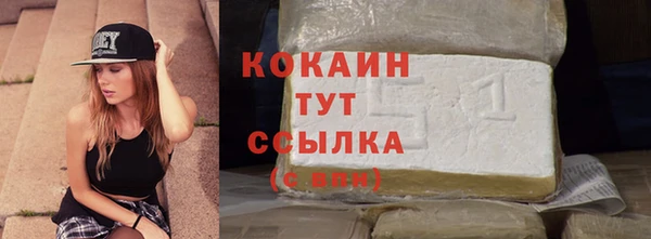 гашик Арсеньев