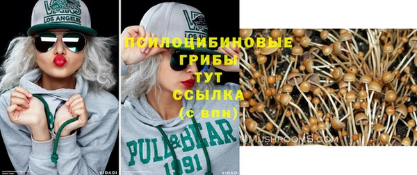 эйфоретик Армянск