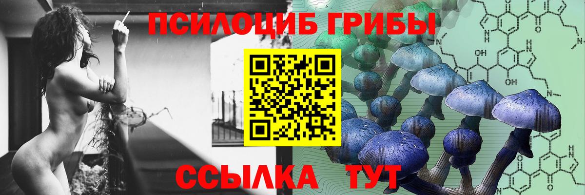 Галлюциногенные грибы Psilocybe Тайшет